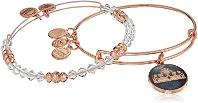 Alex and Ani Womens Art Infusion Set, Queen's Crown Bangle